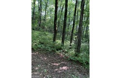 Maple Leaf Drive, Dillard, GA 30537
