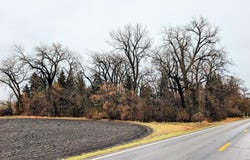 Main, Saint Thomas, ND 58276