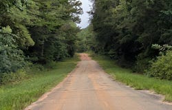 Graball Rd, Clopton, AL 36310
