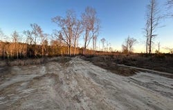 Chicora River Rd, WAYNESBORO, MS 39367