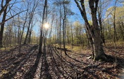 Lafaver Rd, Hermon, NY 13652