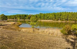 Piney Point Road, Onemo, VA 23130