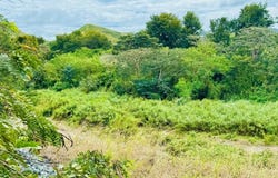 Coamo, Coamo, PR 00769