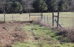 --TBD-- FM 2208, Harleton, TX 75651