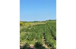 Paris Road, New Hartford, NY 13413