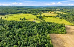 Rose Road, Hammondsport, NY 14840