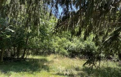 Christopher Lane lot: 1, South Haven, MI 49090