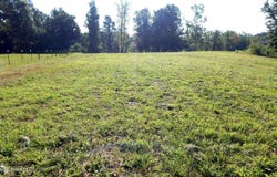 400 Arkabutla Dam Road, Coldwater, MS 38618