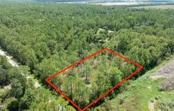 5669 Mango Avenue, Bunnell, FL 32110