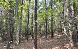 Highway 43, Ethel, MS 39067