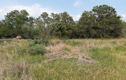 000 Deer Loop, La Grange, TX 78945