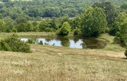 Hwy M Tract C-1, Cabool, MO 65689