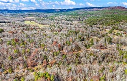 2805 Larue Ridge Road, Dover, AR 72837