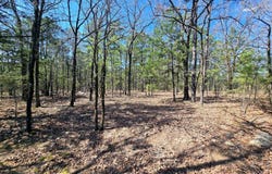 160 Acres Co Rd D1625, Muse, OK 74577
