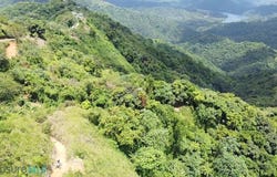 Yauco, Yauco, PR 00698