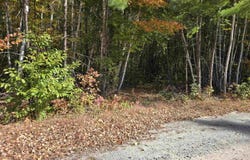 Cottage Road, Weare, NH 03281