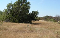 County Road 152, Brady, TX 76825