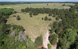 2954 CR 2170, Grapeland, TX 75844