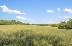 Wild Rose, Strafford, MO 65757