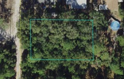 Lilly Avenue, Panacea, FL 32346