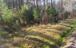 117 Oswell Brinson Road lot: 3, Merritt, NC 28556