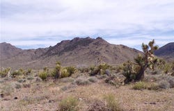 328-05-491 Palo Alto, Dolan Springs, AZ 86441