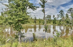 3438 Attala Rd 3027, Kosciusko, MS 39090