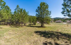 Lot H Cold Spring Trl, Custer, SD 57730