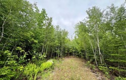 Lot 4 Mt. Jefferson Heights, Lee, ME 04455
