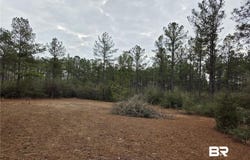 Chunchula Landfill Road, Chunchula, AL 36521