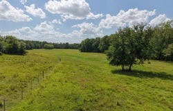 Hwy 67, Mount Vernon, TX 75457