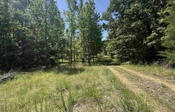 1096 CR 472, Piggott, AR 72454