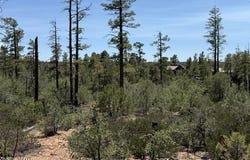 3352 Pine Needle Drive, Show Low, AZ 85901