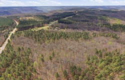 Thunder Ridge Drive, South Pittsburg, TN 37380