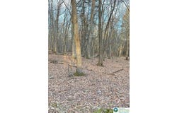 80 Spokane Road, Penn Forest Twp, PA 18210