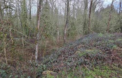 33058 Brewster Rd, Lebanon, OR 97355