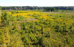 River Bend Road, Columbia, MS 39429
