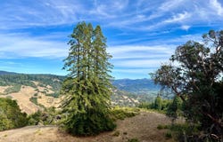34201 Highway 128, Cloverdale, CA 95425