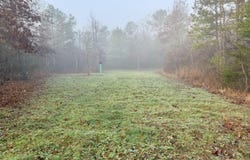 960 Old 51 Road, Pickens, MS 39146