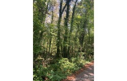 Jordan Avenue, Spencer, NC 28159