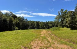 292 Bull Durham Rd., SPRINGVILLE, TN 38256