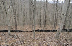 W Bobcat Lane lot: 60, Wilder, TN 38589