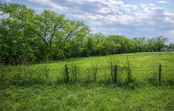 Fir Street, Celeste, TX 75423