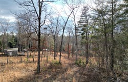 566 William Branch Rd, Lancing, TN 37770