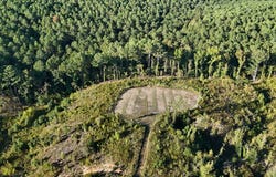 CR 115, WATER VALLEY, MS 38965