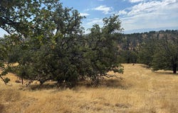 16173 Nugget Road, Corning, CA 96021