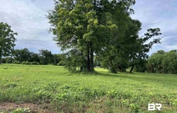 Grelot Road, Mobile, AL 36695