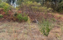 616 E HULL Street, Denison, TX 75021