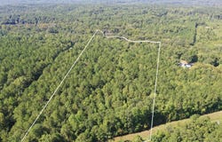 Neely Ferry Road, Tract B, Waterloo, SC 29384