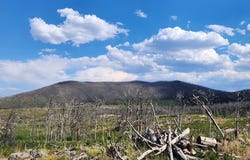 529 Quartz Rd, Bellvue, CO 80512